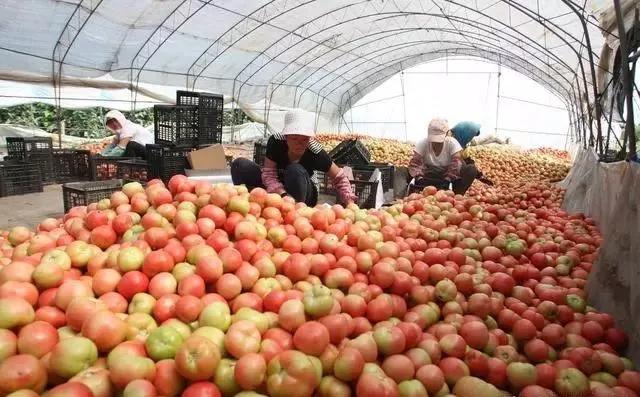 整頓大棚房成了一刀切的代名詞，斷水斷電磚瓦不留，拆成了荒蕪！