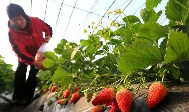 整頓大棚房成了一刀切的代名詞，斷水斷電磚瓦不留，拆成了荒蕪！