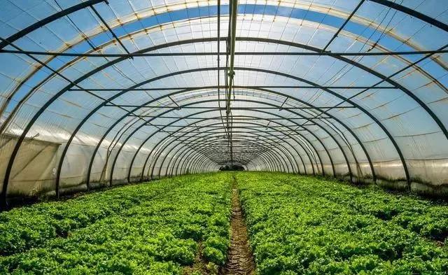 整頓大棚房成了一刀切的代名詞，斷水斷電磚瓦不留，拆成了荒蕪！