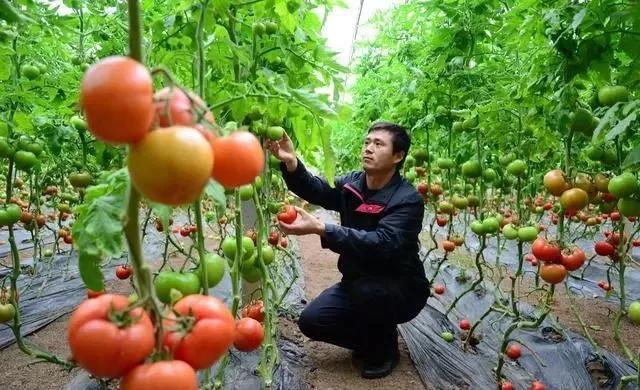 整頓大棚房成了一刀切的代名詞，斷水斷電磚瓦不留，拆成了荒蕪！