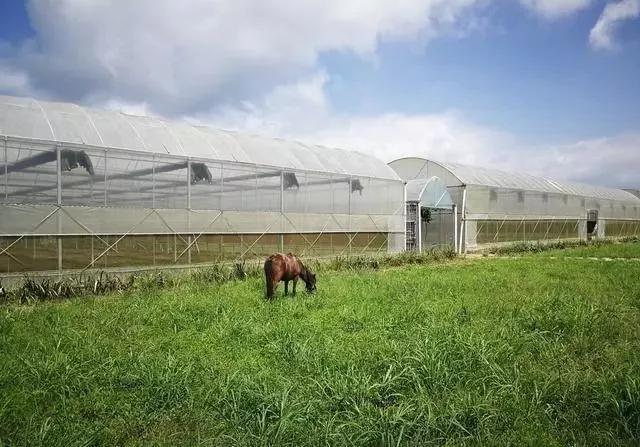 整頓大棚房成了一刀切的代名詞，斷水斷電磚瓦不留，拆成了荒蕪！